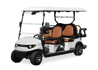 AC Motor Golf VAC Motor Golf Xe xe